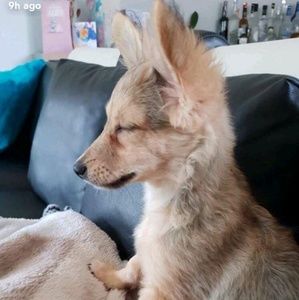 Meet your Posher, Kyla